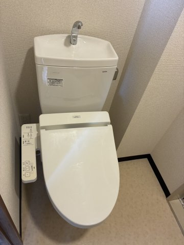 ヴィラ逢谷内のトイレ