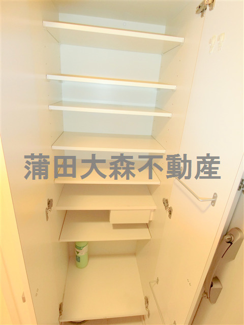 クリオ蒲田Ⅱの収納|洗面所収納