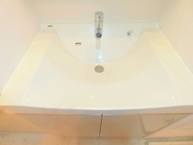 クリオ蒲田Ⅱの洗面所