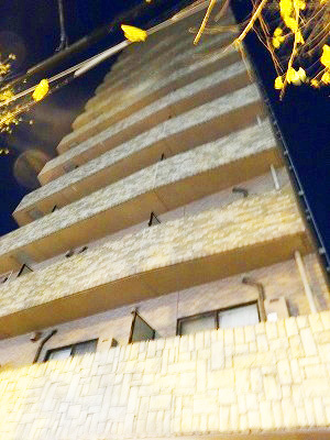 トーシンフェニックス目白弐番館の外観|外観