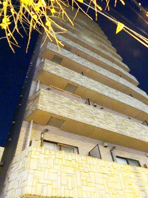 トーシンフェニックス目白弐番館の外観|外観