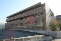 Ｐｒｅｎｄｒｅ(プランドール)の画像