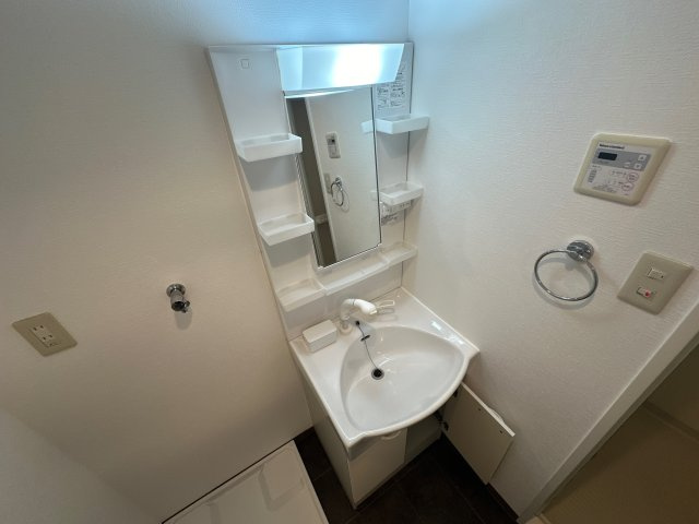 インタービレッジ土山の洗面所