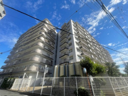 ハイラーク浦和の画像