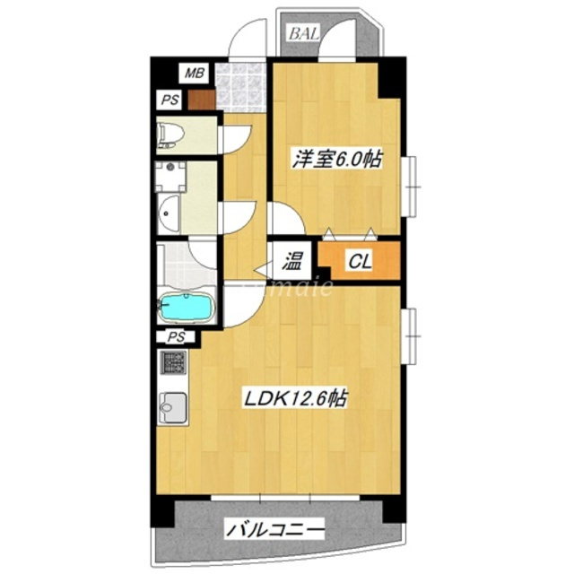 コンフォール浮間舟渡の間取り|南向きのお部屋です♪