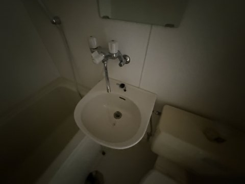 サンハイツ中桜塚の洗面所