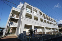 シャルマンの画像