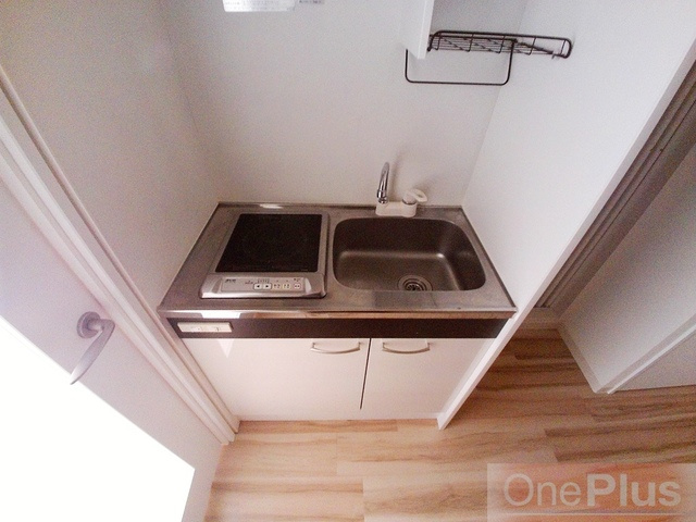 コーニッシュ王子公園のキッチン