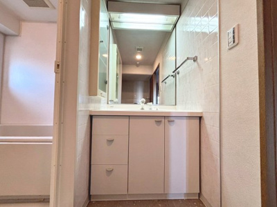 【独立洗面台】 | 堺柳之町アーバンコンフォート | シャワー付き洗面台ですので、寝ぐせ直しもラクラクですね♪