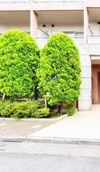 グランヴァン東池袋