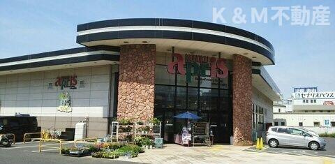 シェーヌⅣのエントランス|毎日通るエントランスはこのようになっています