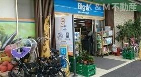 シェーヌⅣの周辺|ビッグエーまで450m 