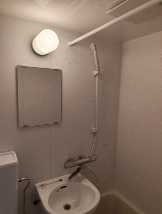 スカイピア新小岩Ⅱの洗面所