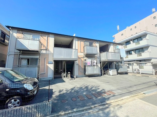 Height Purityの外観