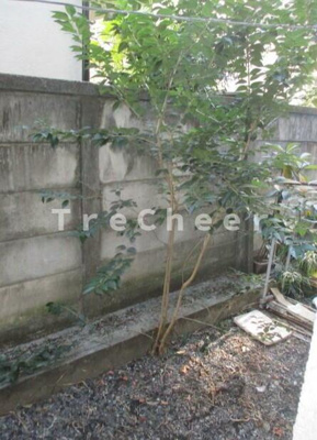 【展望】 | ニューオギクボマンション