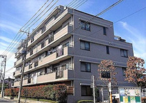 東急ドエル・アルス浦和根岸の画像