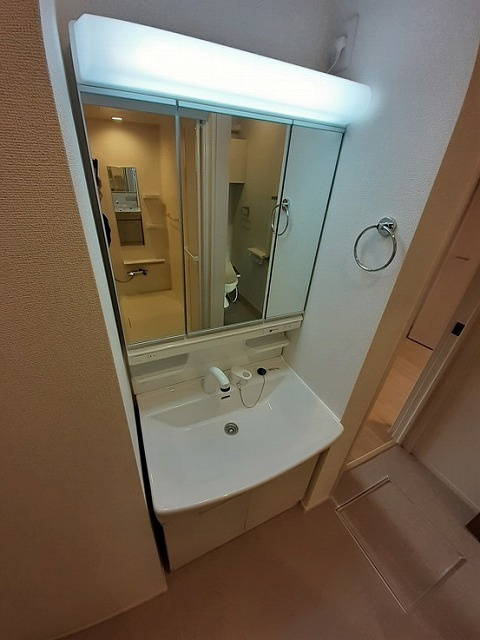 レディーバードⅠの洗面所