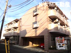 フォルティス・メア