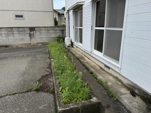 コーポ・アルビレオの庭