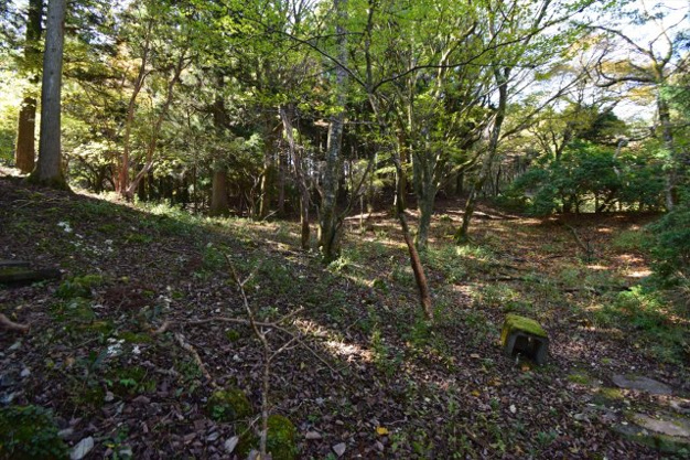 【庭】 | 東急天城高原別荘地　戸建