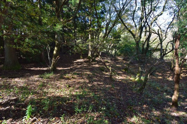 【庭】 | 天城高原別荘地　戸建