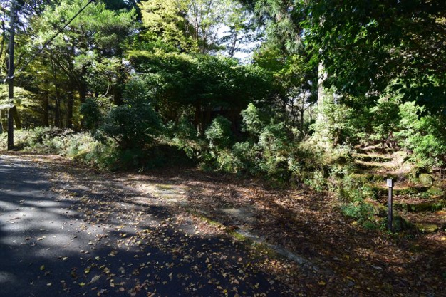 【前面道路含む現地写真】 | 天城高原別荘地　戸建