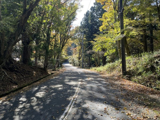 【前面道路含む現地写真】 | 東急天城高原別荘地　戸建