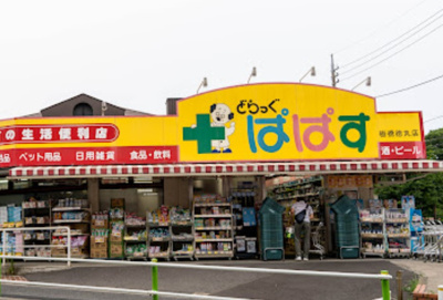 【周辺】 | ドエル若木 | どらっぐぱぱす 板橋徳丸店まで780m
