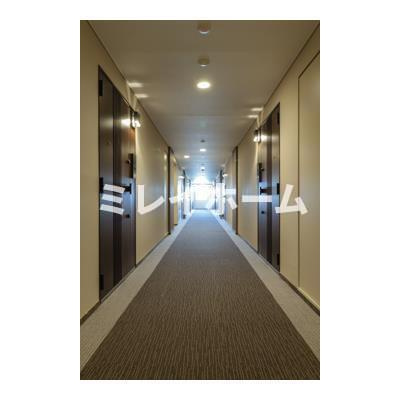 Ｍｉａ Ｃａｓａ Ⅱのその他共用部分