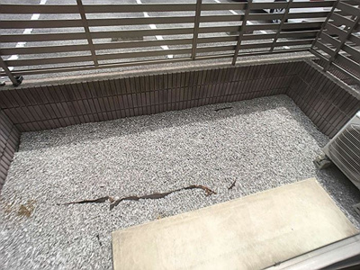 【庭】 | リースランドＩＰ Ａ | 専用庭