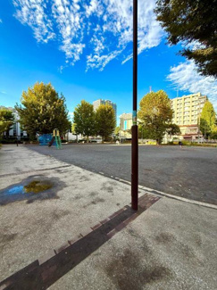  | 東神奈川公園まで80m 