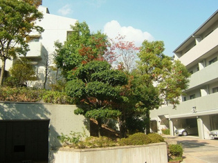 当日見学可能ですので、見学希望の際はお気軽にお問い合わせください。ネットからの見学予約も便利です♪