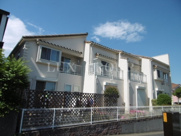 セレッソAの画像