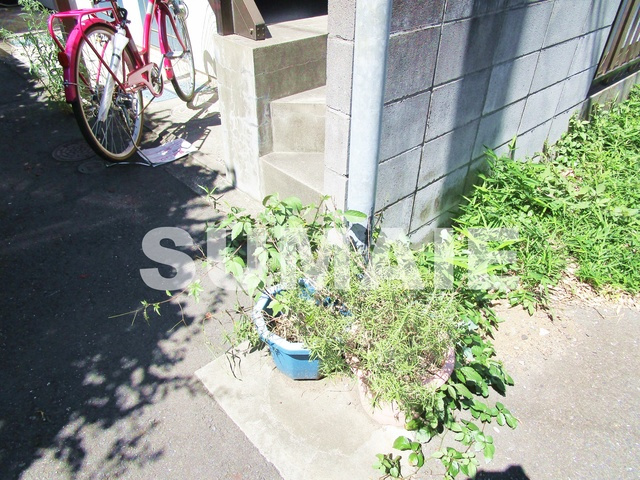 第２天貝コーポのその他|植栽です☆