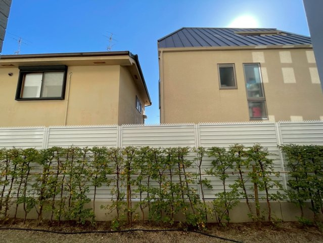 ワコーレ芦屋レフィーナのその他