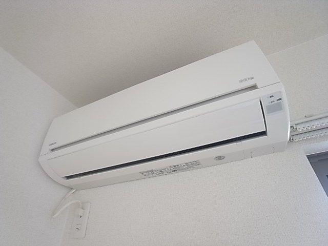 カーザ・ヴェルデのその他