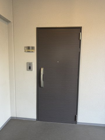 パレステージ上野 7階の玄関