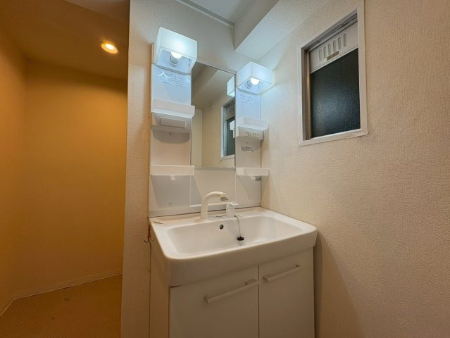 ドメスティック南光荘の洗面所