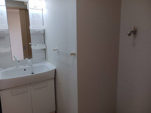 シェーネの洗面所