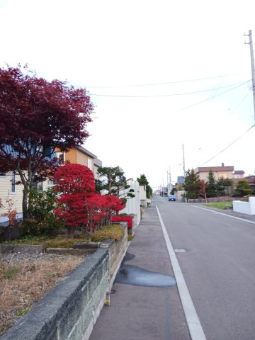 【前面道路含む現地写真】