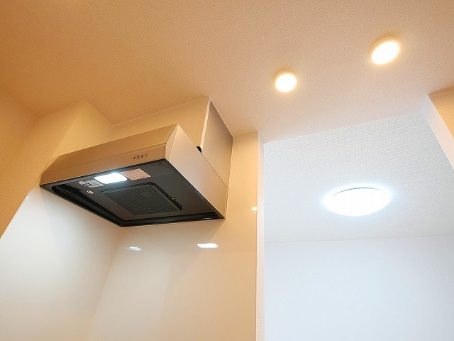 アプリコットⅣ