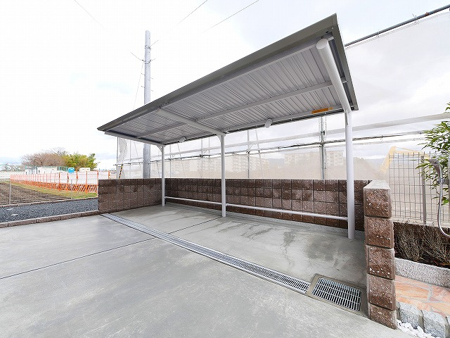 アプリコットⅣ