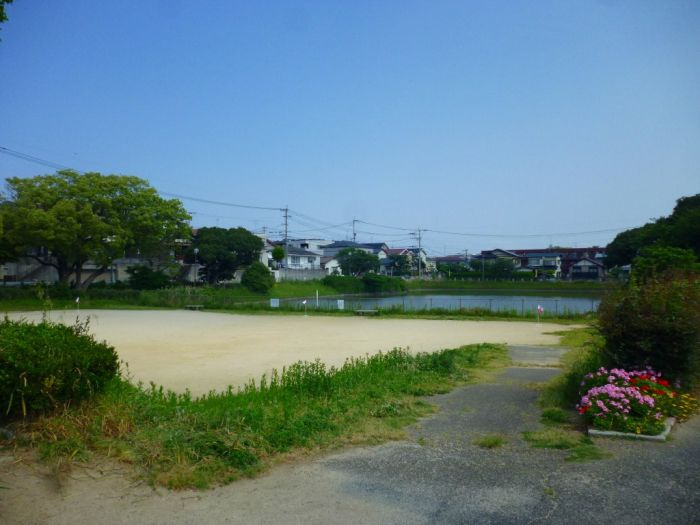 森和ビルの展望
