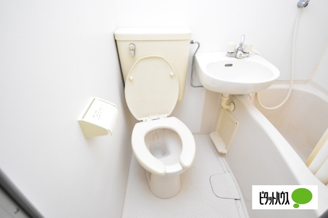 グリーンハイツ貝沢のトイレ