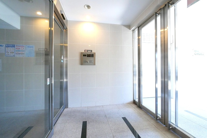 ＡＲＴＥＳＳＩＭＯ　ＬＩＮＫ　ＣＲＯＳＳの外観