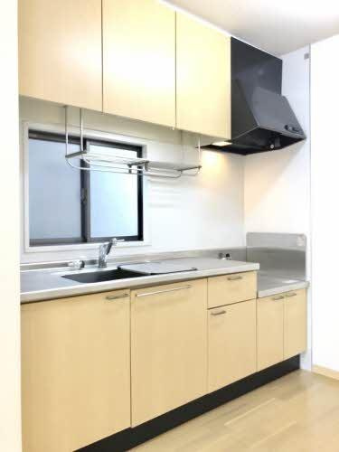 ダンデライオン　E棟のキッチン