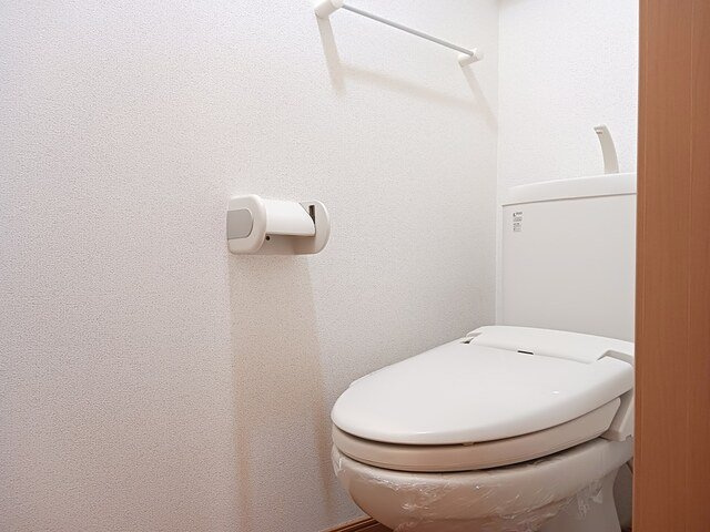 リバロックＢのトイレ|落ち着いたトイレです