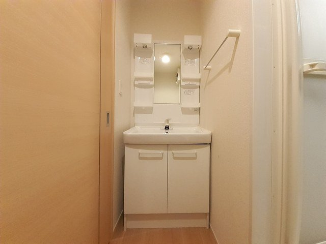 ドムス・ウィスタリアⅡの洗面所|スペースが確保できる洗面所です