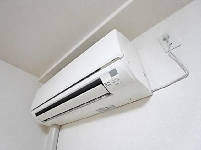 フロイデのその他