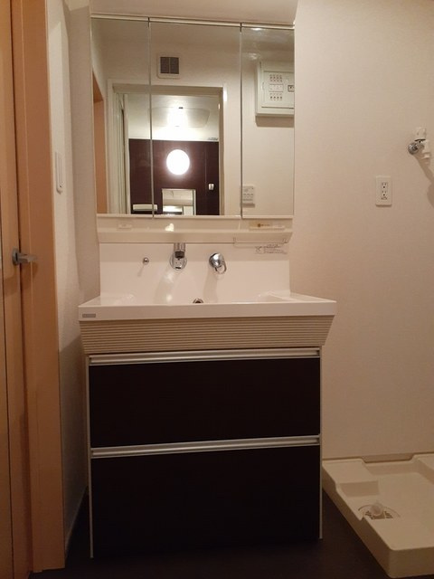 ゼファーコートの洗面所